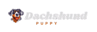 dachshund removebg preview